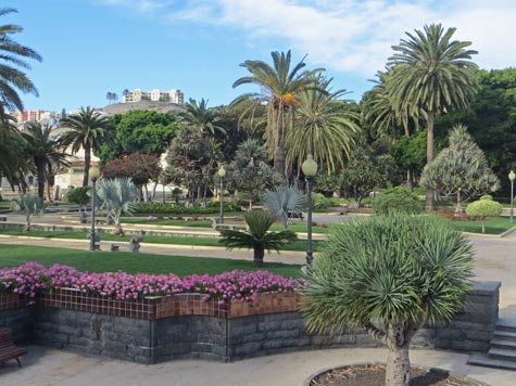 Doramas Park in Las Palmas (Parque Doramas)